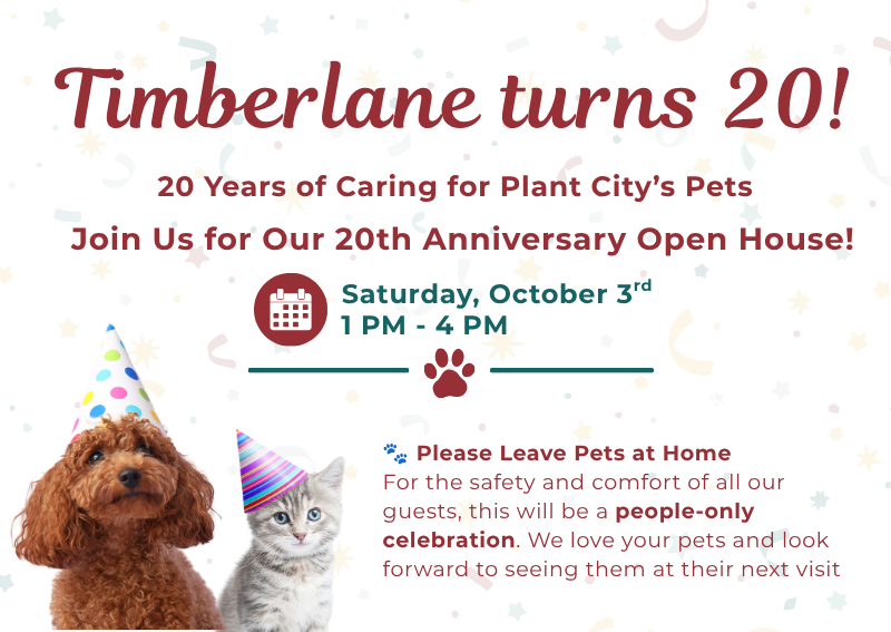 Carousel Slide 1: Learn more here>>